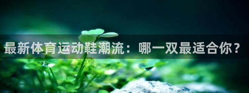 凯发官方正版app集团官网首页网址：最新体育运动鞋潮