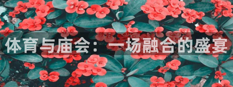 凯发官方正版app集团：体育与庙会：一场融合的盛宴