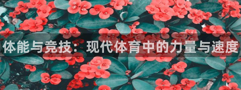 凯发官方正版app官方：体能与竞技：现代体育中的力量
