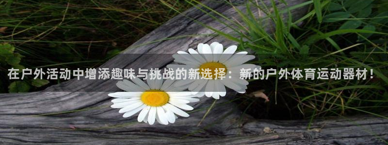 凯发官方正版app集团E.ON：在户外活动中增添趣味
