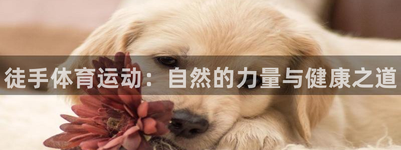 凯发官网下载注册：徒手体育运动：自然的力量与健康之道