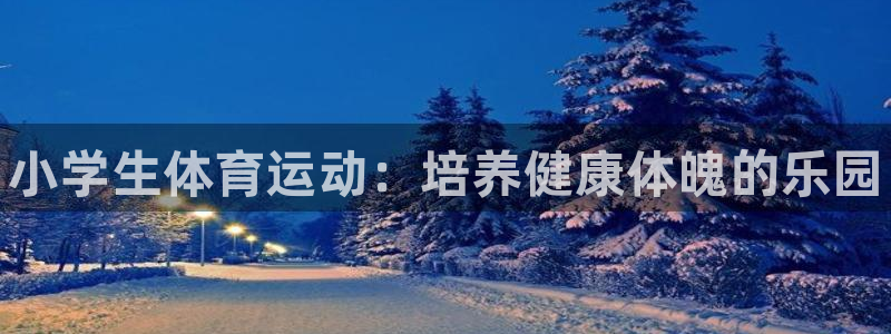凯发官方正版app集团官网网址：小学生体育运动：培养