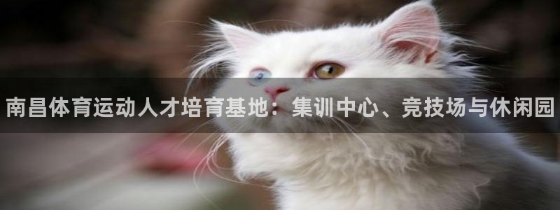 凯发官方正版app娱乐40996：南昌体育运动人才培