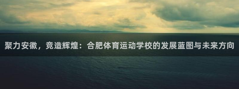 凯发官网下载注册：聚力安徽，竞造辉煌：合肥体育运动学校的发展