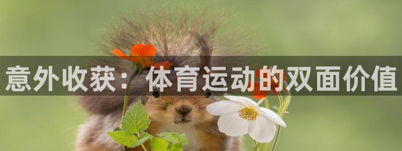 凯发官方正版app集团：意外收获：体育运动的双面价值