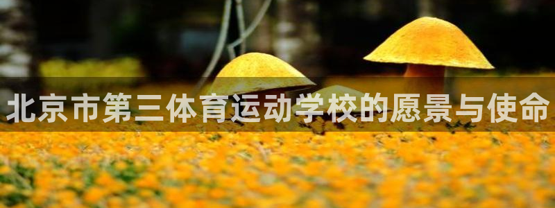 凯发官方正版app娱乐首页网站大全：北京市第三体育运动学校的