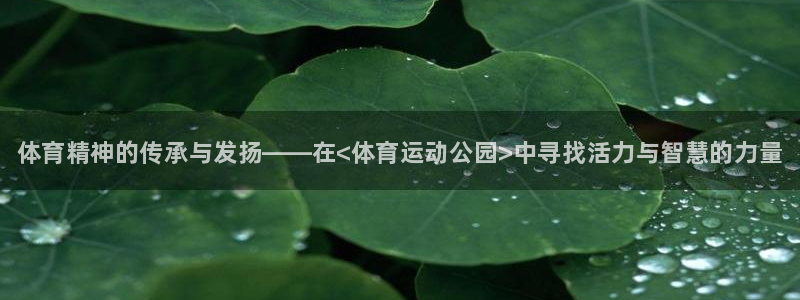 凯发官网下载招商电话
