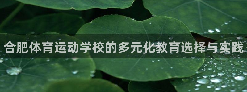 凯发官网下载招商电话地址查询：合肥体育运动学校的多元化教育选