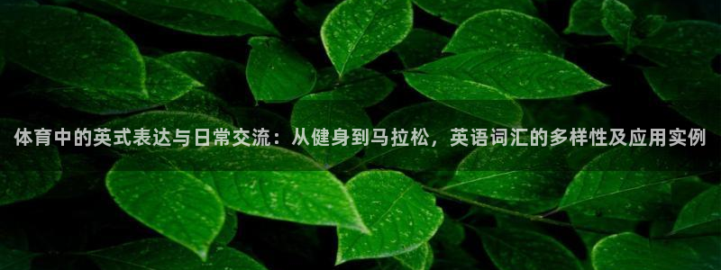 凯发旗舰厅官网app：体育中的英式表