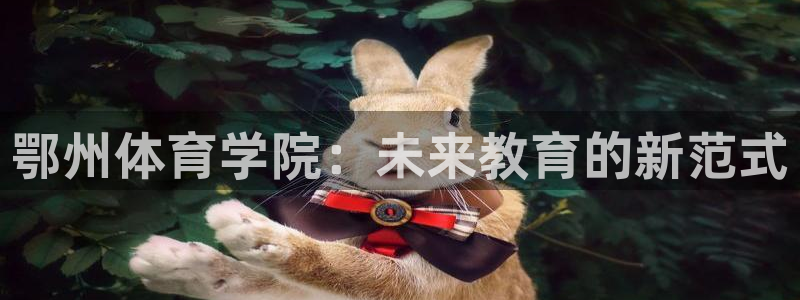 凯发官网下载平台注册流程视频：鄂州体育学院：未来教育的新范式