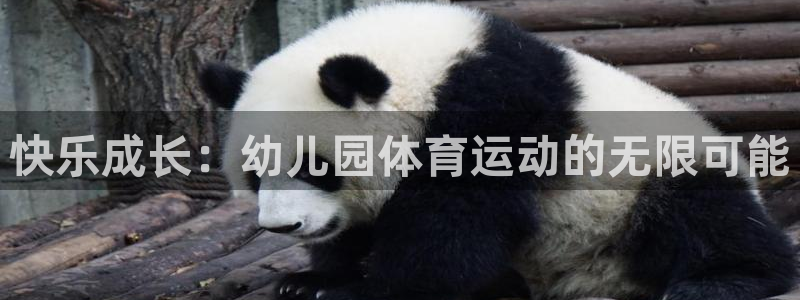 凯发官网下载招商电话